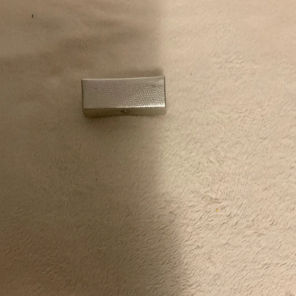 Elegant Silver Cosmetic Case